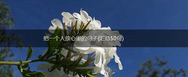 把一个人放心里的句子(汇总50句),第1张