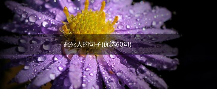 愁死人的句子(优选60句),第1张