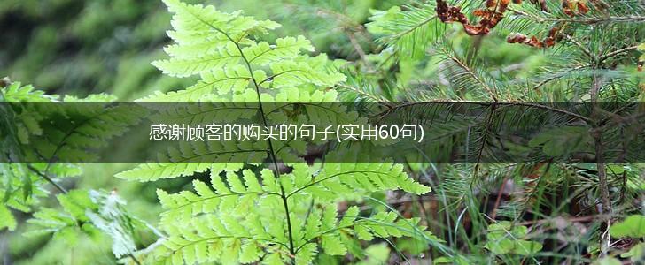 感谢顾客的购买的句子(实用60句),第1张