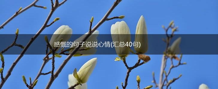 感慨的句子说说心情(汇总40句),第1张