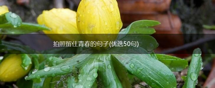 拍照留住青春的句子(优选50句),第1张