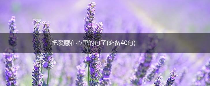 把爱藏在心里的句子(必备40句),第1张