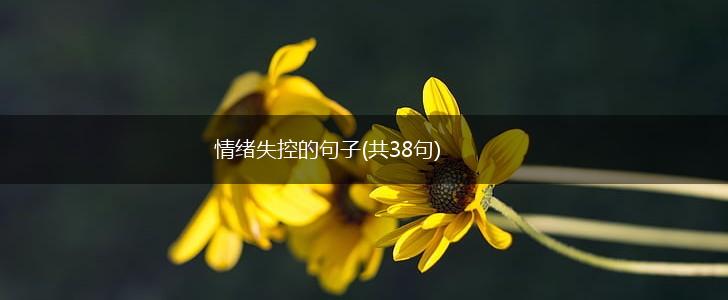 情绪失控的句子(共38句),第1张