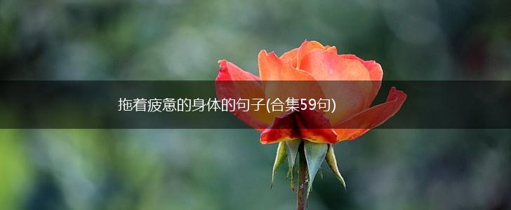 拖着疲惫的身体的句子(合集59句),第1张