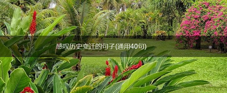 感叹历史变迁的句子(通用40句),第1张