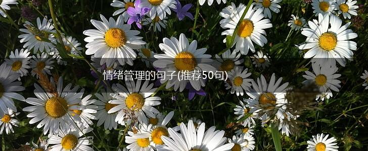 情绪管理的句子(推荐50句),第1张