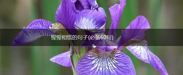 惺惺相惜的句子(必备60句),第1张