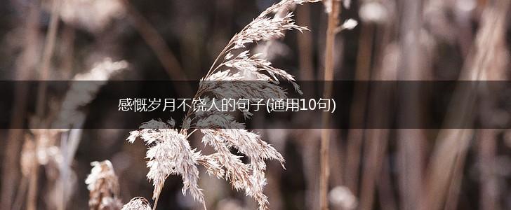 感慨岁月不饶人的句子(通用10句),第1张
