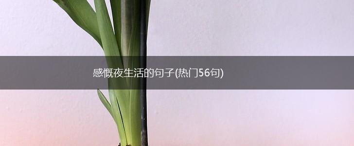 感慨夜生活的句子(热门56句),第1张