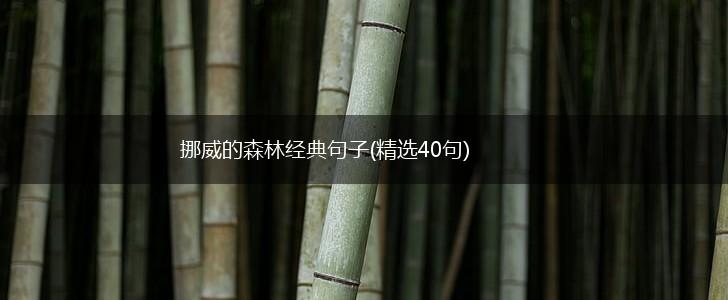 挪威的森林经典句子(精选40句),第1张