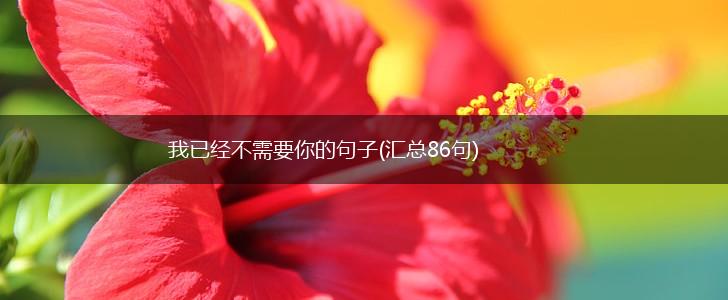 我已经不需要你的句子(汇总86句),第1张