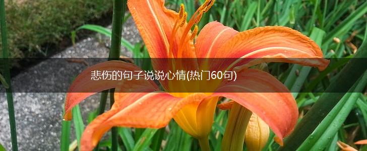 悲伤的句子说说心情(热门60句),第1张