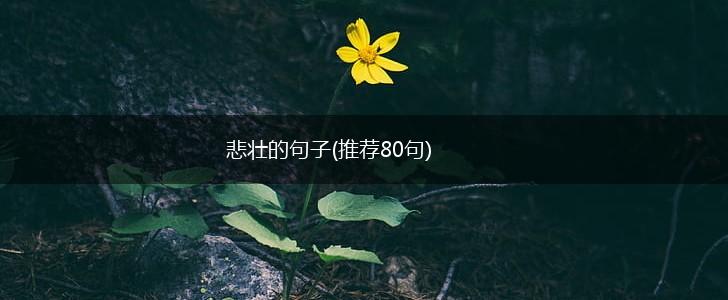 悲壮的句子(推荐80句),第1张