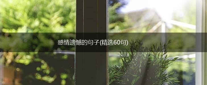 感情遗憾的句子(精选60句),第1张
