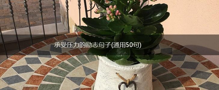 承受压力的励志句子(通用50句),第1张