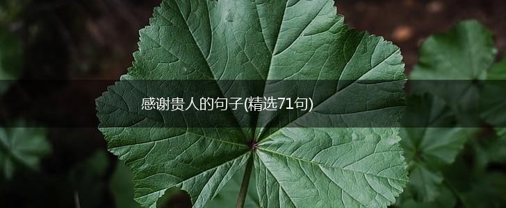 感谢贵人的句子(精选71句),第1张