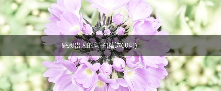 感恩贵人的句子(精选60句),第1张