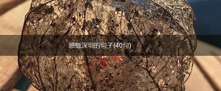 感慨深圳的句子(40句),第1张