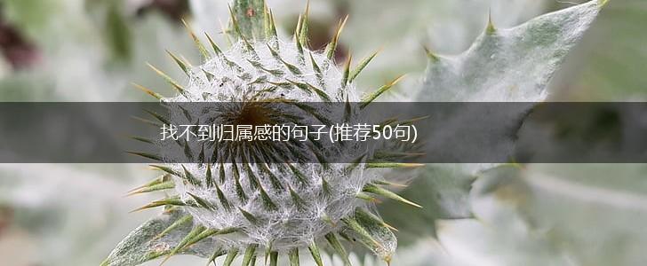 找不到归属感的句子(推荐50句),第1张