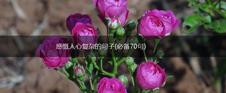感慨人心复杂的句子(必备70句),第1张