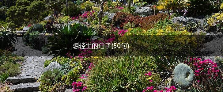 想轻生的句子(50句),第1张