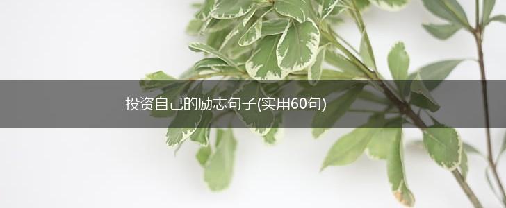 投资自己的励志句子(实用60句),第1张