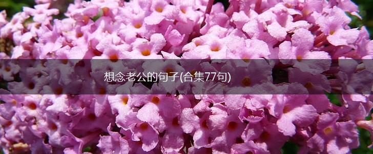 想念老公的句子(合集77句),第1张