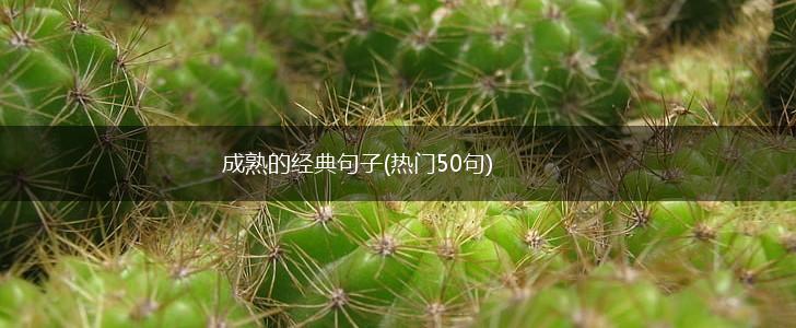 成熟的经典句子(热门50句),第1张