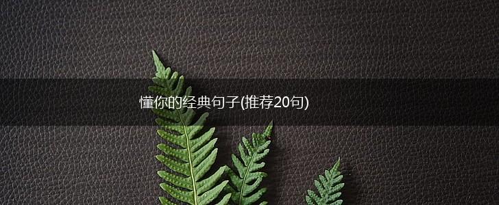 懂你的经典句子(推荐20句),第1张