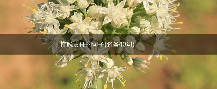推脱责任的句子(必备40句),第1张