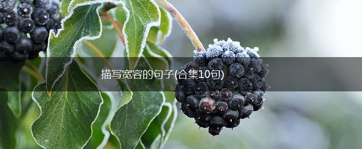 描写宽容的句子(合集10句),第1张
