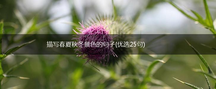 描写春夏秋冬景色的句子(优选25句),第1张