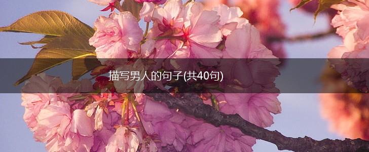 描写男人的句子(共40句),第1张