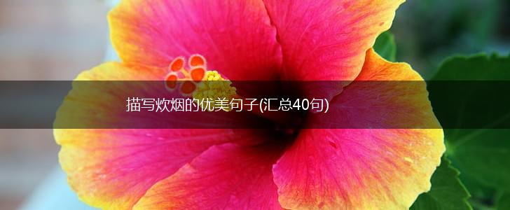 描写炊烟的优美句子(汇总40句),第1张