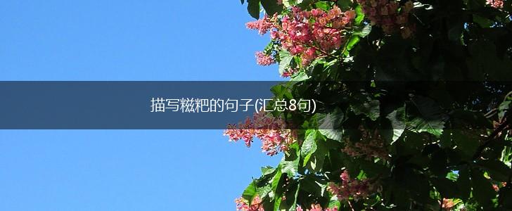 描写糍粑的句子(汇总8句),第1张