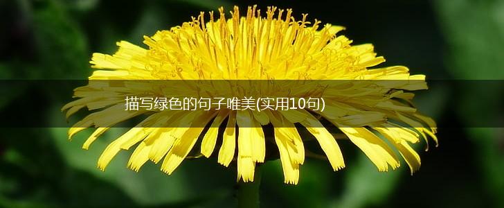 描写绿色的句子唯美(实用10句),第1张