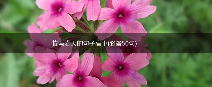 描写春天的句子高中(必备50句),第1张