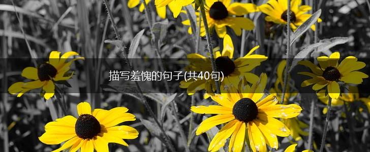 描写羞愧的句子(共40句),第1张
