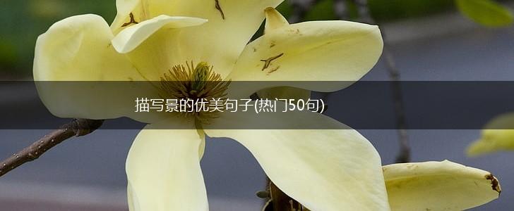 描写景的优美句子(热门50句),第1张