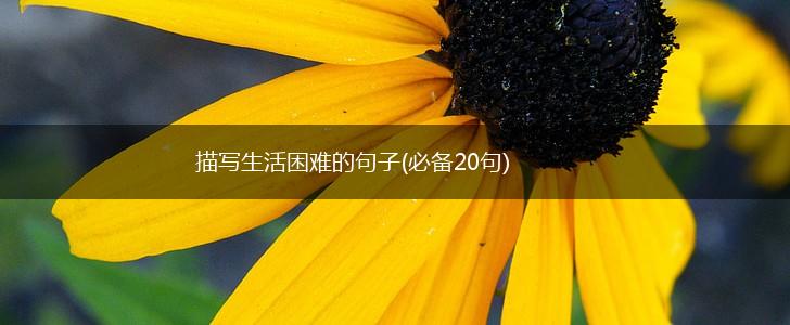 描写生活困难的句子(必备20句),第1张