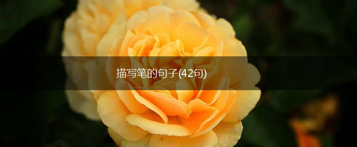 描写笔的句子(42句),第1张