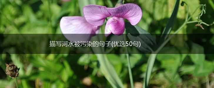 描写河水被污染的句子(优选50句),第1张