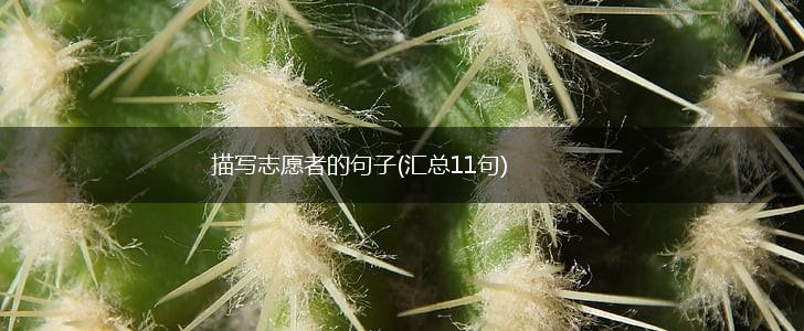 描写志愿者的句子(汇总11句),第1张