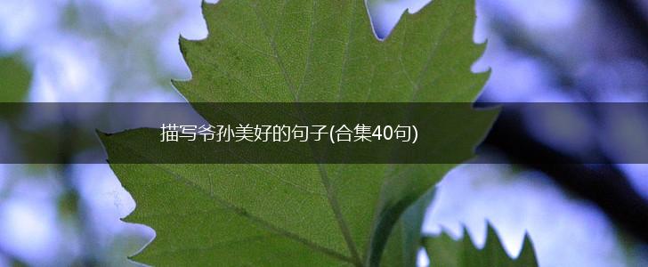 描写爷孙美好的句子(合集40句),第1张