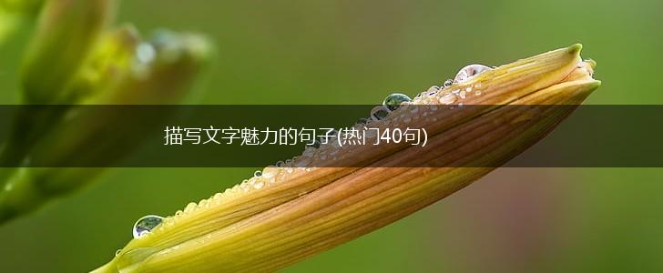 描写文字魅力的句子(热门40句),第1张
