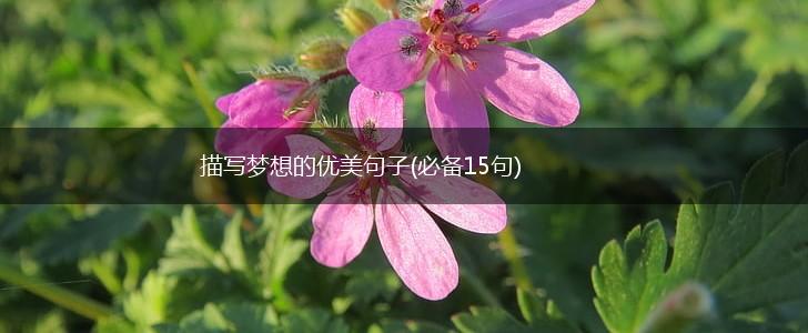 描写梦想的优美句子(必备15句),第1张