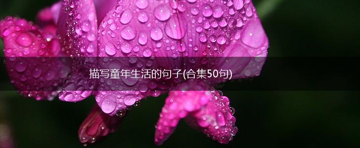 描写童年生活的句子(合集50句),第1张