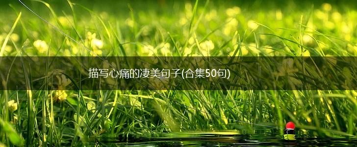 描写心痛的凄美句子(合集50句),第1张