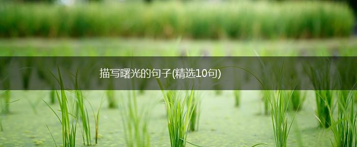 描写曙光的句子(精选10句),第1张