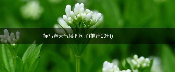 描写春天气候的句子(推荐10句),第1张